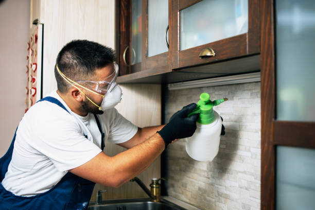 Best Emergency Pest Control  in Goodwell, OK