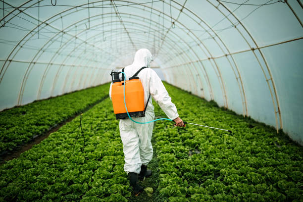 Best Commercial Pest Control Services  in Goodwell, OK