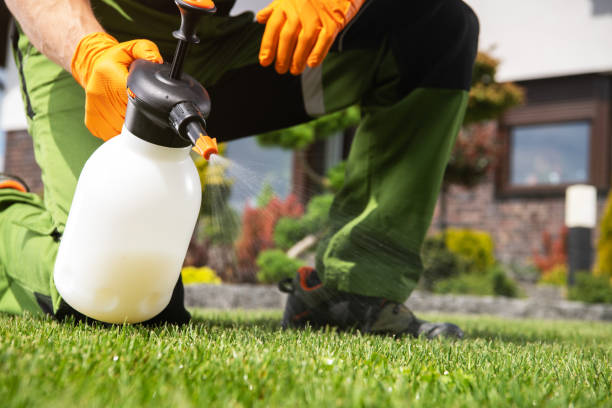 Best Pest Inspection Near Me  in Goodwell, OK