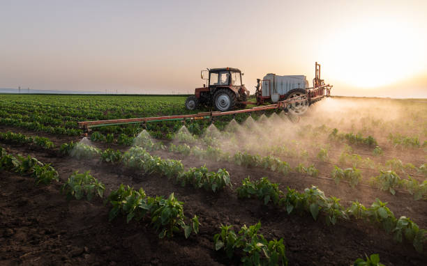 Best Pest Removal Services  in Goodwell, OK
