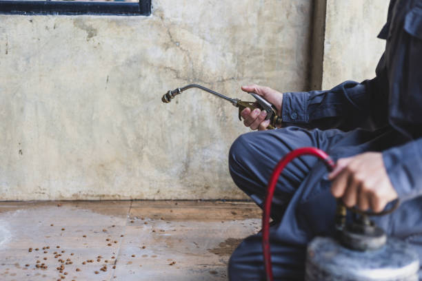 Best Affordable Pest Control Services  in Goodwell, OK