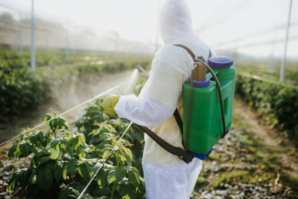 Pest Control for Restaurants in Goodwell, OK